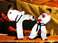 Taekwon-Do per jugar en línia