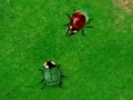 Beetle Wars per jugar en línia