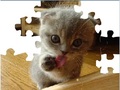 Cute Cat Puzzle per jugar en línia