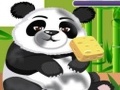 Panda Care per jugar en línia