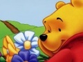 Winnie Pooh el Objecte Ocult per jugar en línia